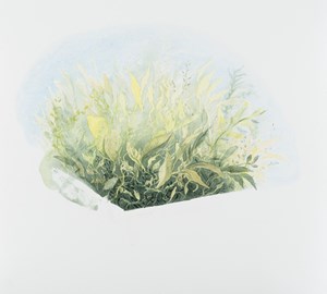 2022-montebello-watercolor-worksonpaper-31x31cm-FB22-89
