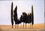 montebello-venice-smichel-1993-oil-canvas-46x65cm-vndxxyykjzjqjFile0288
